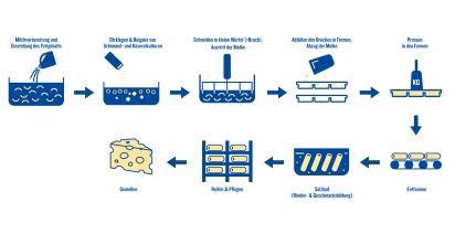 Käse Herstellung