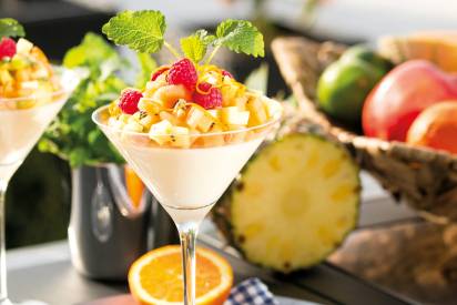 srd_fruchtiges-panna-cotta-sommerdessert_header