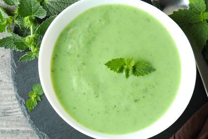 srd_header_Einfache Brennnesselsuppe